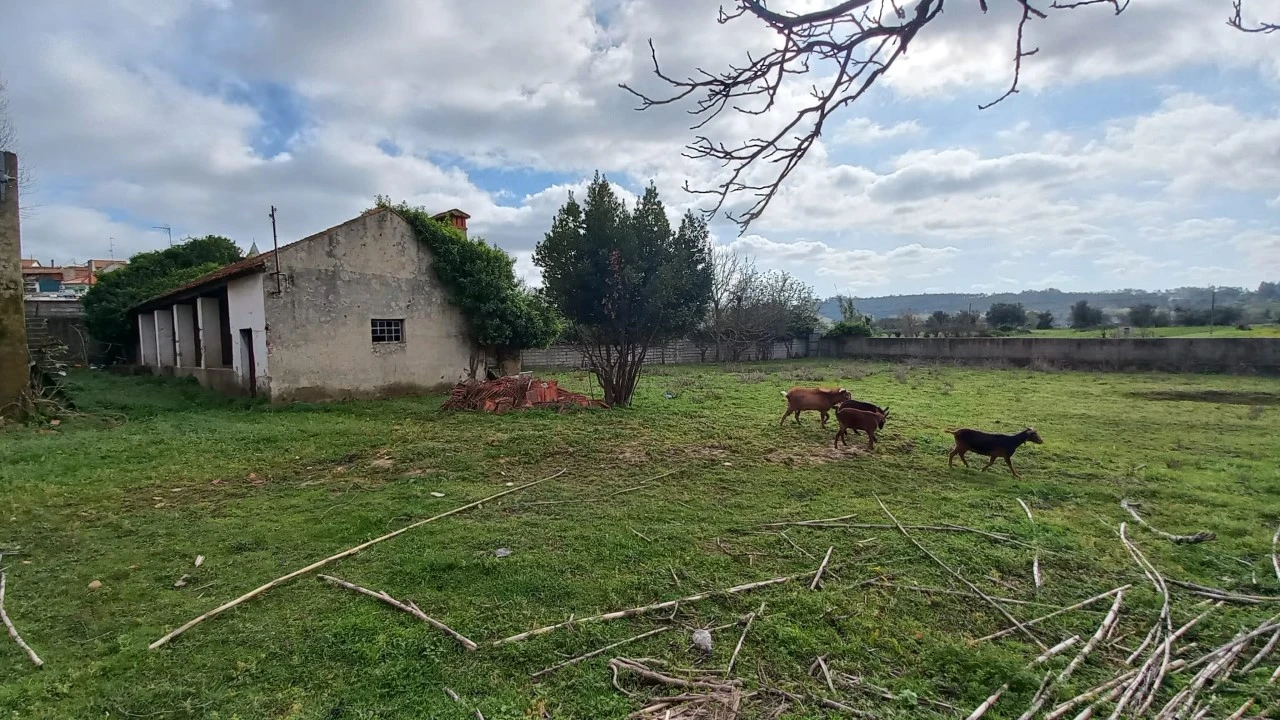 Quinta T3 para Venda em Golpilheira Foto 10