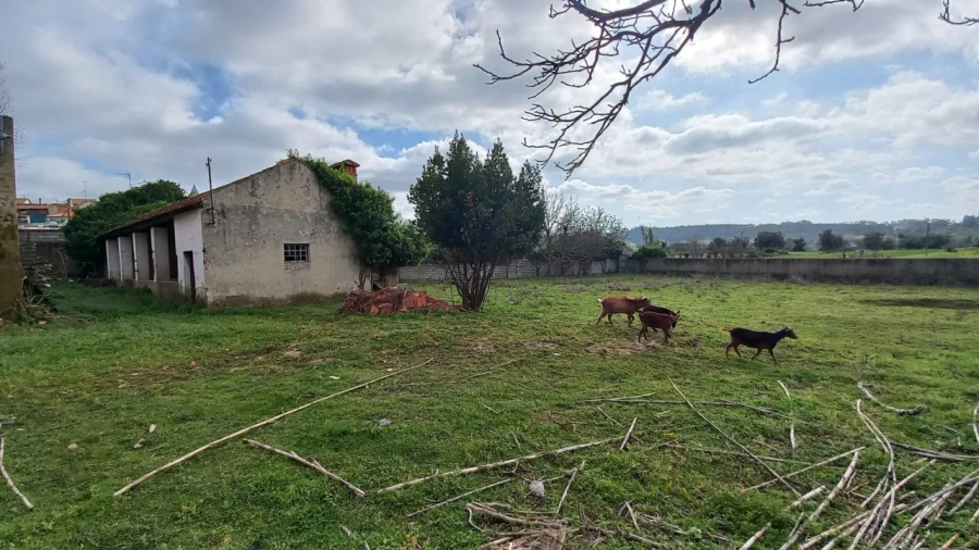 Quinta T3 para Venda em Golpilheira Foto 10