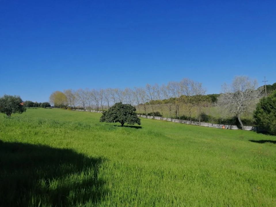 Quinta T4 para Venda em Azoia de Cima e Tremês Foto 27