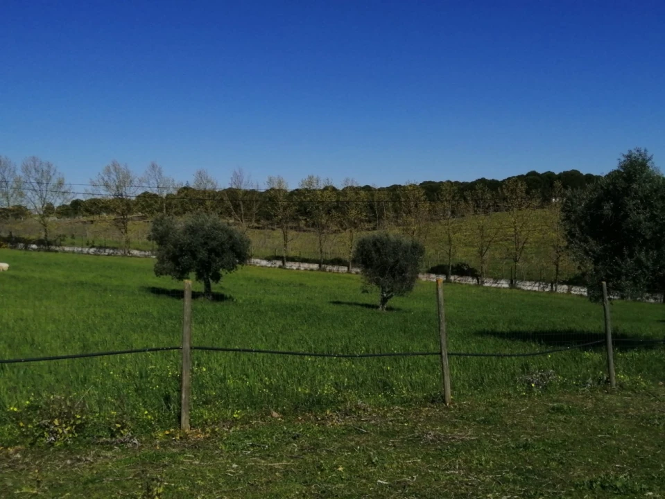 Quinta T4 para Venda em Azoia de Cima e Tremês Foto 28