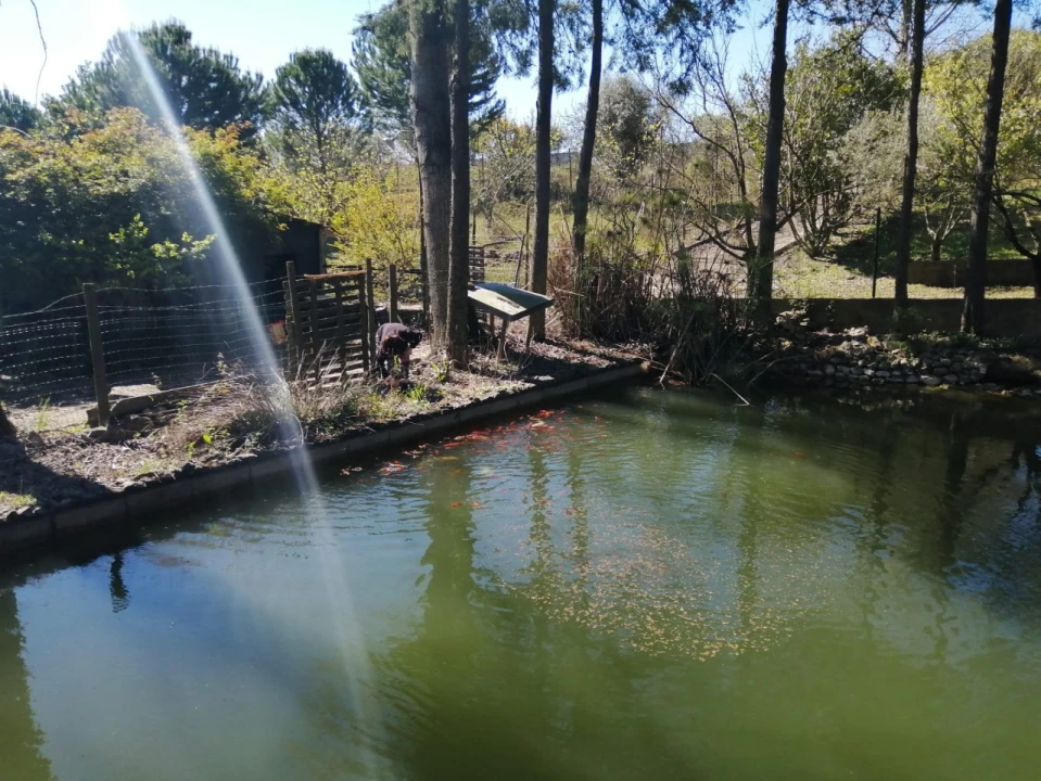 Quinta T4 para Venda em Azoia de Cima e Tremês Foto 10