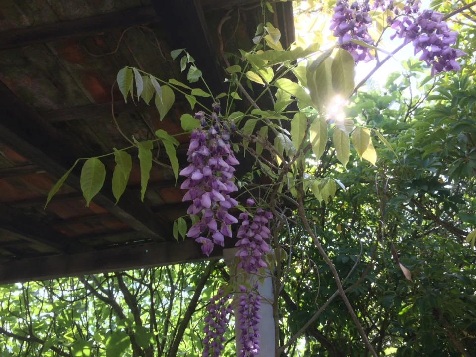 Quinta T4 para Venda em Azoia de Cima e Tremês Foto 33
