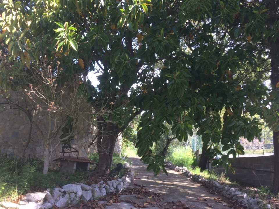 Quinta T4 para Venda em Azoia de Cima e Tremês Foto 36