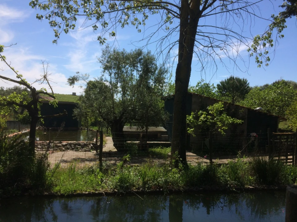 Quinta T4 para Venda em Azoia de Cima e Tremês Foto 37