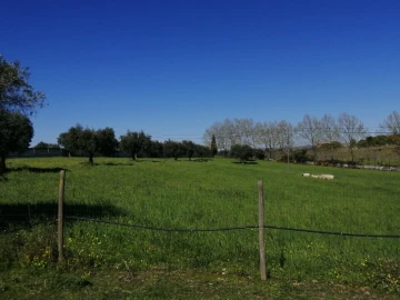 Quinta T4 para Venda em Azoia de Cima e Tremês