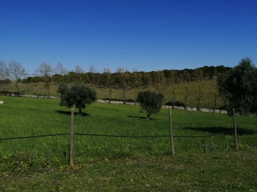 Quinta T4 para Venda em Azoia de Cima e Tremês