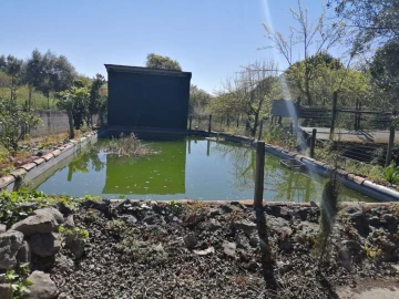 Quinta T4 para Venda em Azoia de Cima e Tremês