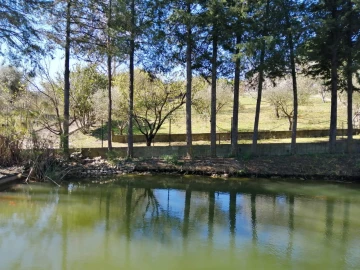 Quinta T4 para Venda em Azoia de Cima e Tremês