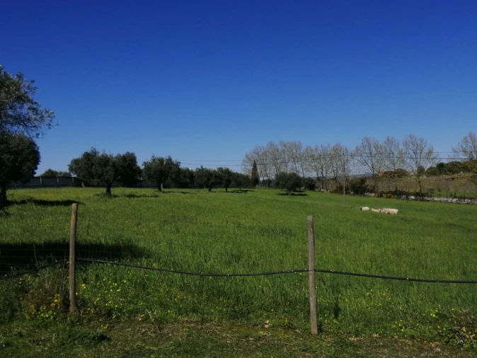 Quinta T4 para Venda em Azoia de Cima e Tremês Foto 29