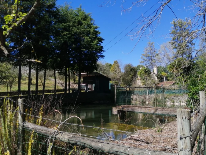 Quinta T4 para Venda em Azoia de Cima e Tremês Foto 8