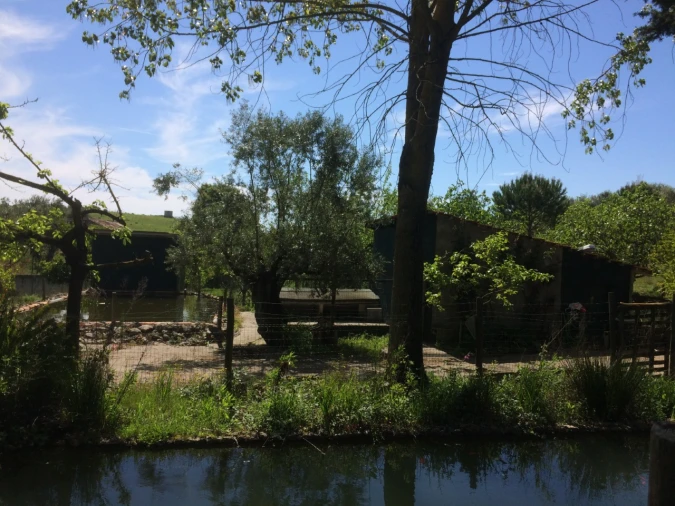 Quinta T4 para Venda em Azoia de Cima e Tremês Foto 37