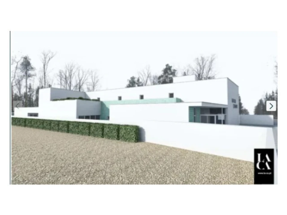 Negócio para Venda em Amor Foto 3