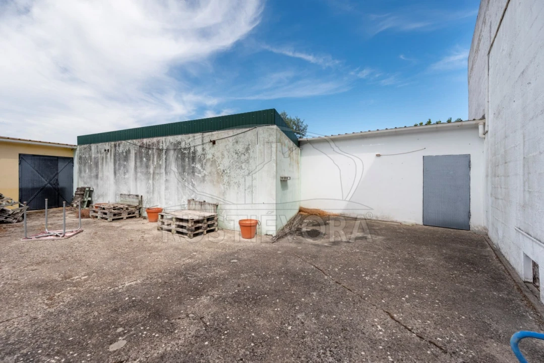 Negócio para Venda em Mora Foto 13