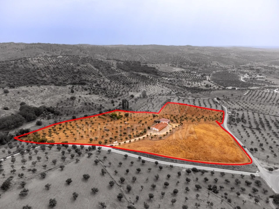 Quinta T4 para Venda em Portel Foto 27