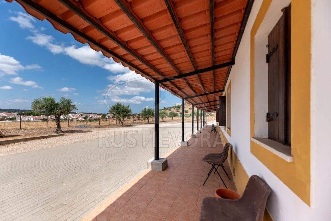 Quinta T4 para Venda em Portel Foto 30