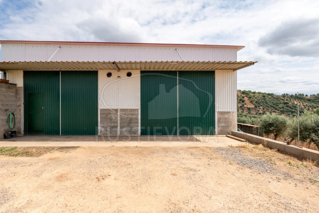 Quinta T4 para Venda em Portel Foto 34