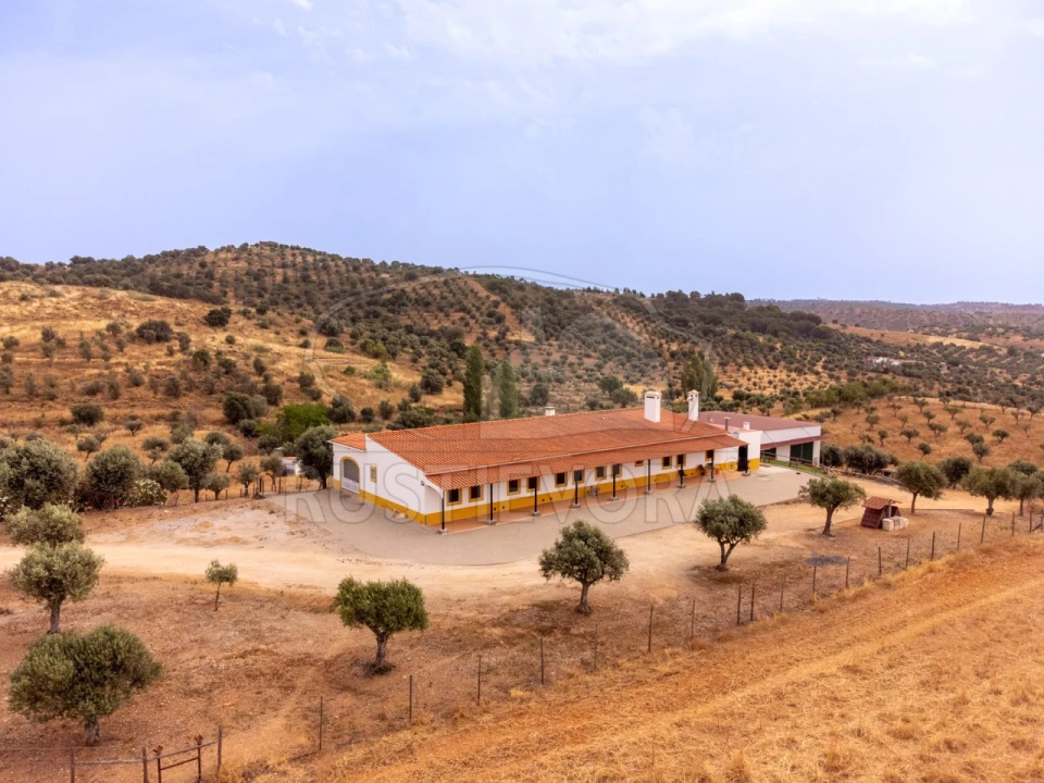 Quinta T4 para Venda em Portel Foto 44