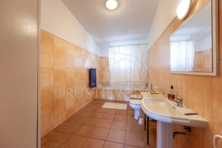 Quinta T4 para Venda em Portel Foto 18