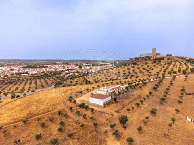 Quinta T4 para Venda em Portel