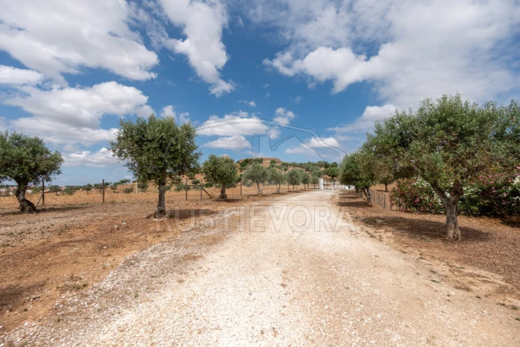 Quinta T4 para Venda em Portel Foto 36