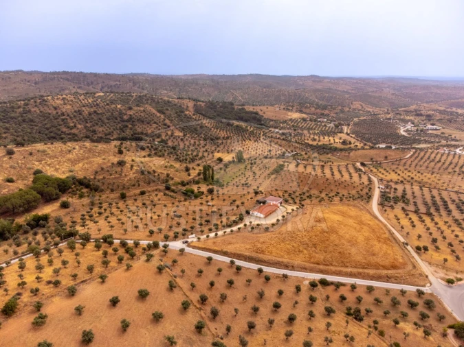 Quinta T4 para Venda em Portel Foto 38