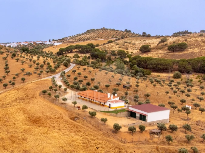 Quinta T4 para Venda em Portel Foto 43