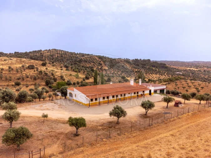 Quinta T4 para Venda em Portel Foto 44