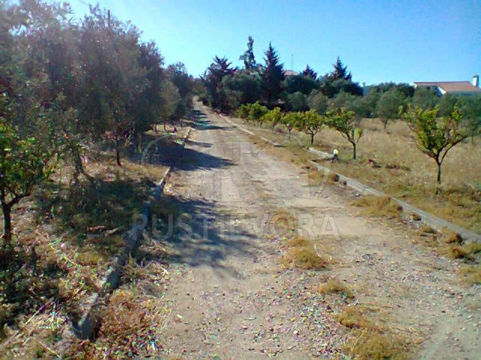 Quinta T3 para Venda em Redondo Foto 4