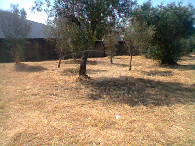 Quinta T3 para Venda em Redondo Foto 40