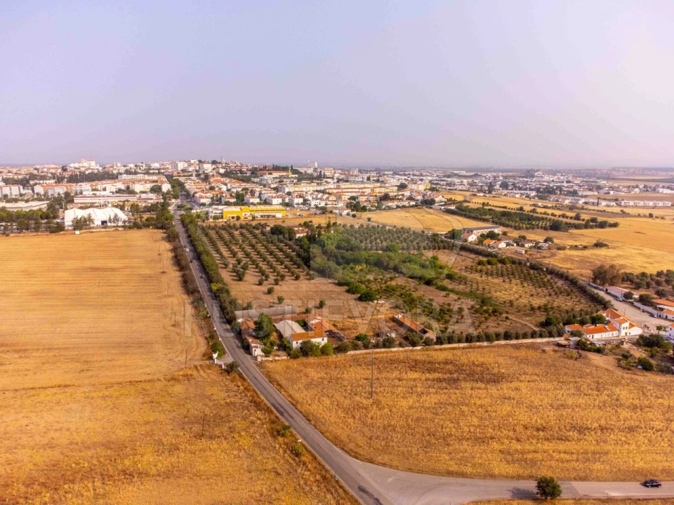 Terreno para Venda em Beja (Santiago Maior e São João Baptista) Foto 3