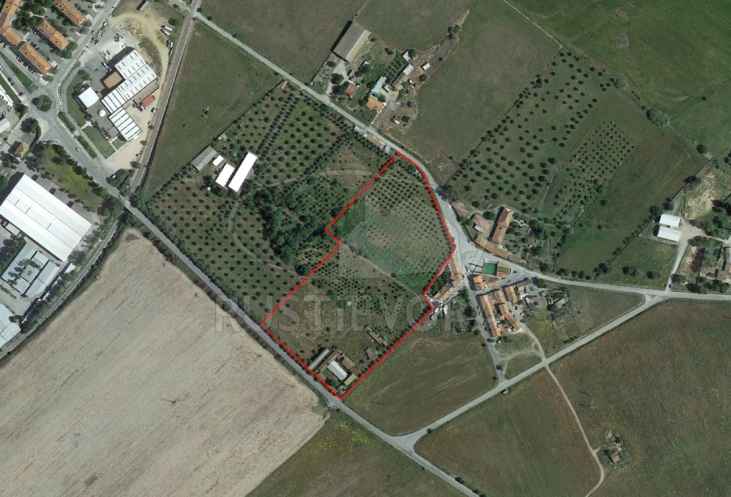 Terreno para Venda em Beja (Santiago Maior e São João Baptista) Foto 5