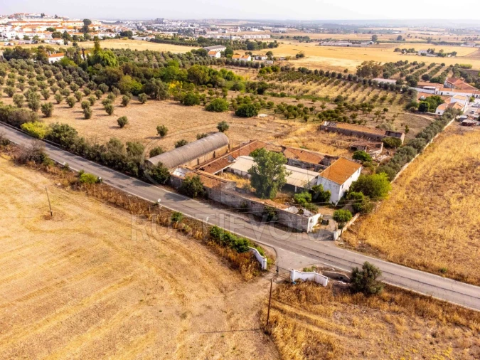 Terreno para Venda em Beja (Santiago Maior e São João Baptista) Foto 6