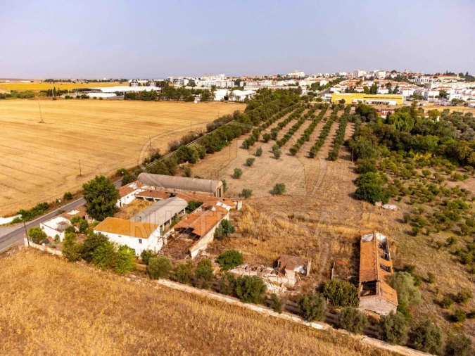 Terreno para Venda em Beja (Santiago Maior e São João Baptista) Foto 12