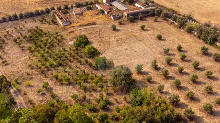 Terreno para Venda em Beja (Santiago Maior e São João Baptista)