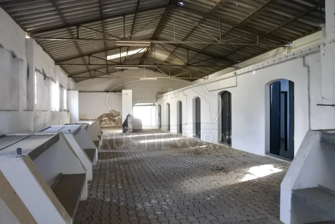 Terreno para Venda em Viana do Alentejo Foto 17