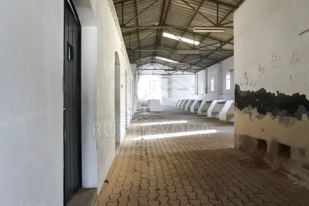 Terreno para Venda em Viana do Alentejo Foto 24