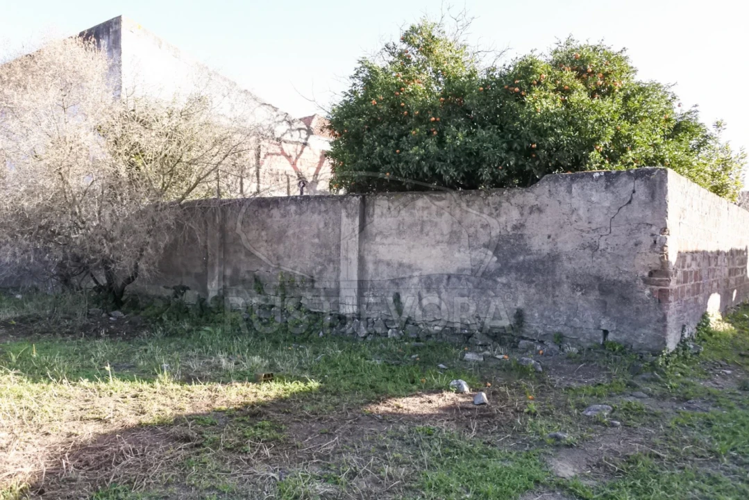 Terreno para Venda em Viana do Alentejo Foto 50