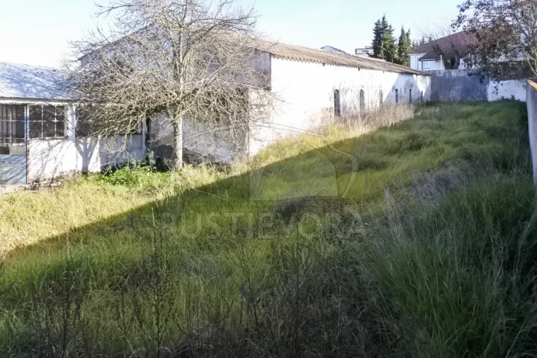 Terreno para Venda em Viana do Alentejo Foto 61