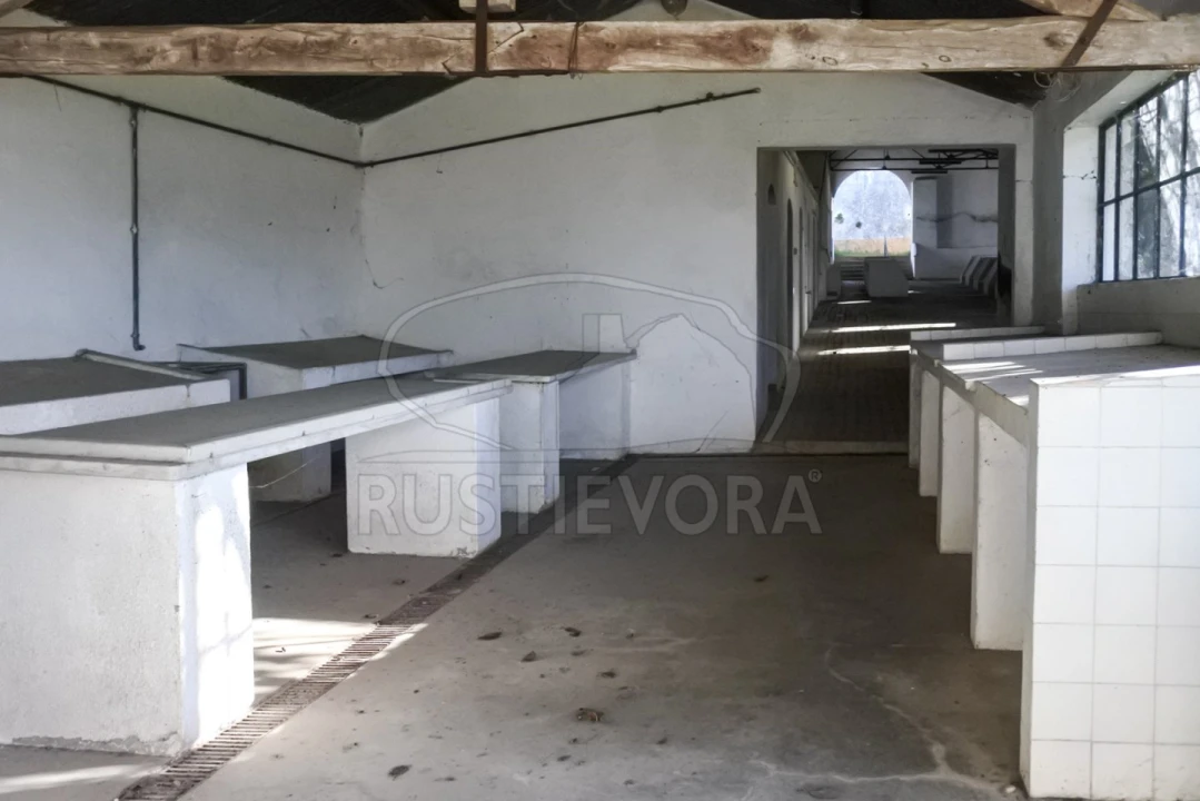 Terreno para Venda em Viana do Alentejo Foto 22