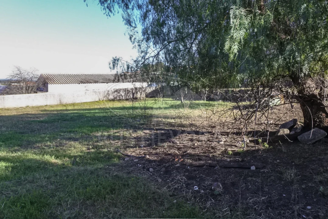 Terreno para Venda em Viana do Alentejo Foto 53