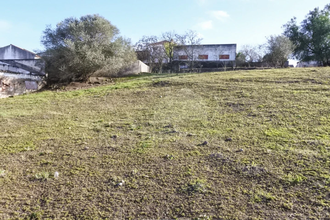 Terreno para Venda em Viana do Alentejo Foto 55