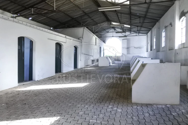 Terreno para Venda em Viana do Alentejo Foto 20