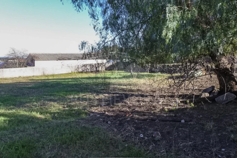 Terreno para Venda em Viana do Alentejo Foto 53