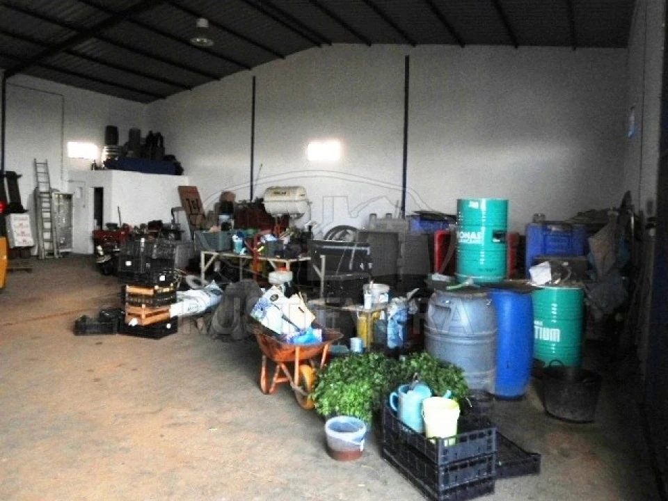 Quinta para Venda em São Bras e São Lourenço Foto 22