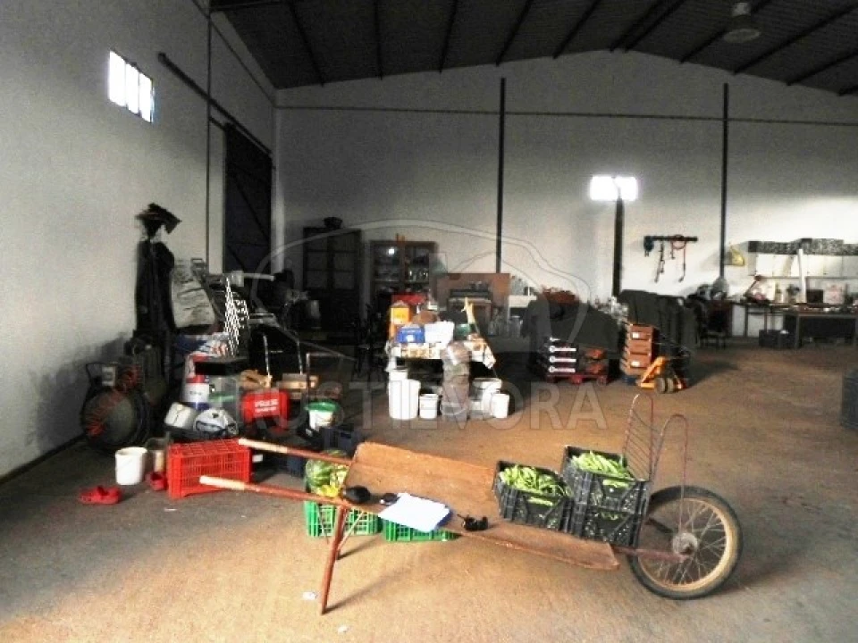 Quinta para Venda em São Bras e São Lourenço Foto 21