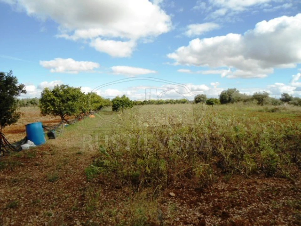 Quinta para Venda em São Bras e São Lourenço Foto 33