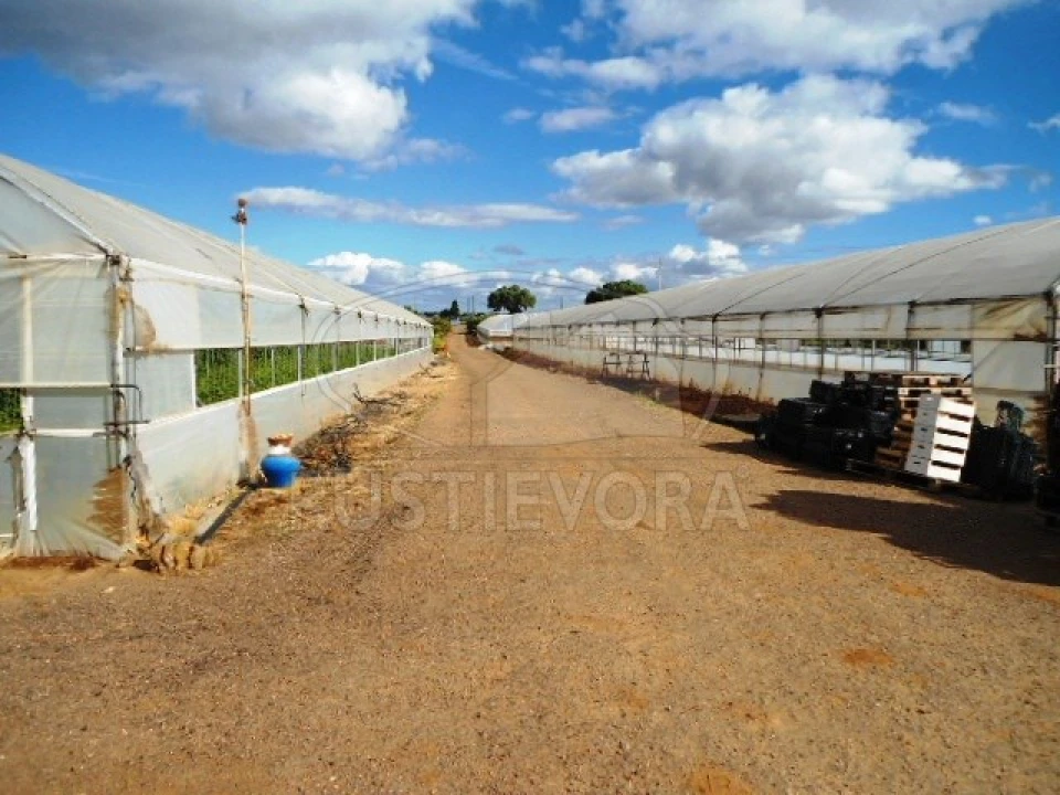 Quinta para Venda em São Bras e São Lourenço Foto 14