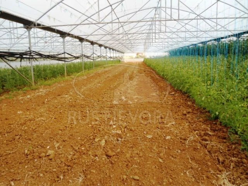 Quinta para Venda em São Bras e São Lourenço Foto 15