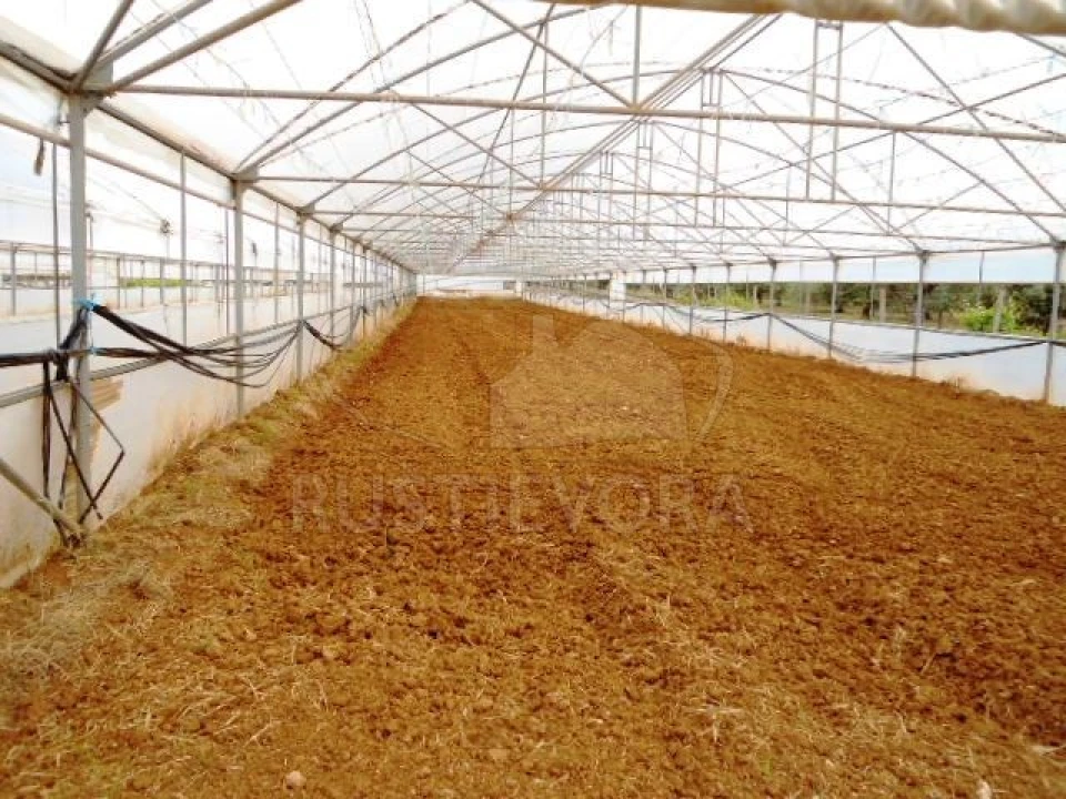 Quinta para Venda em São Bras e São Lourenço Foto 39