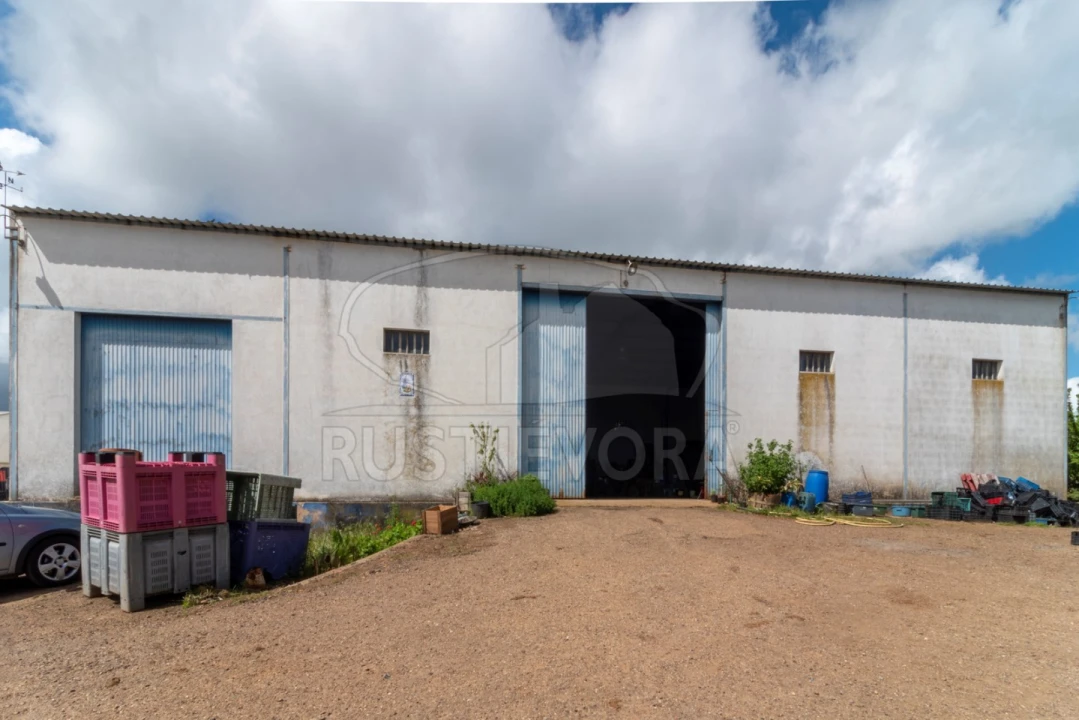 Quinta para Venda em São Bras e São Lourenço Foto 9
